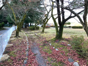 ウォーキングコース